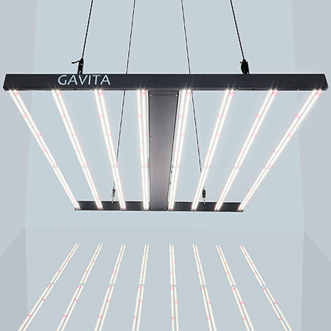 Gavita Pro 1700e LED